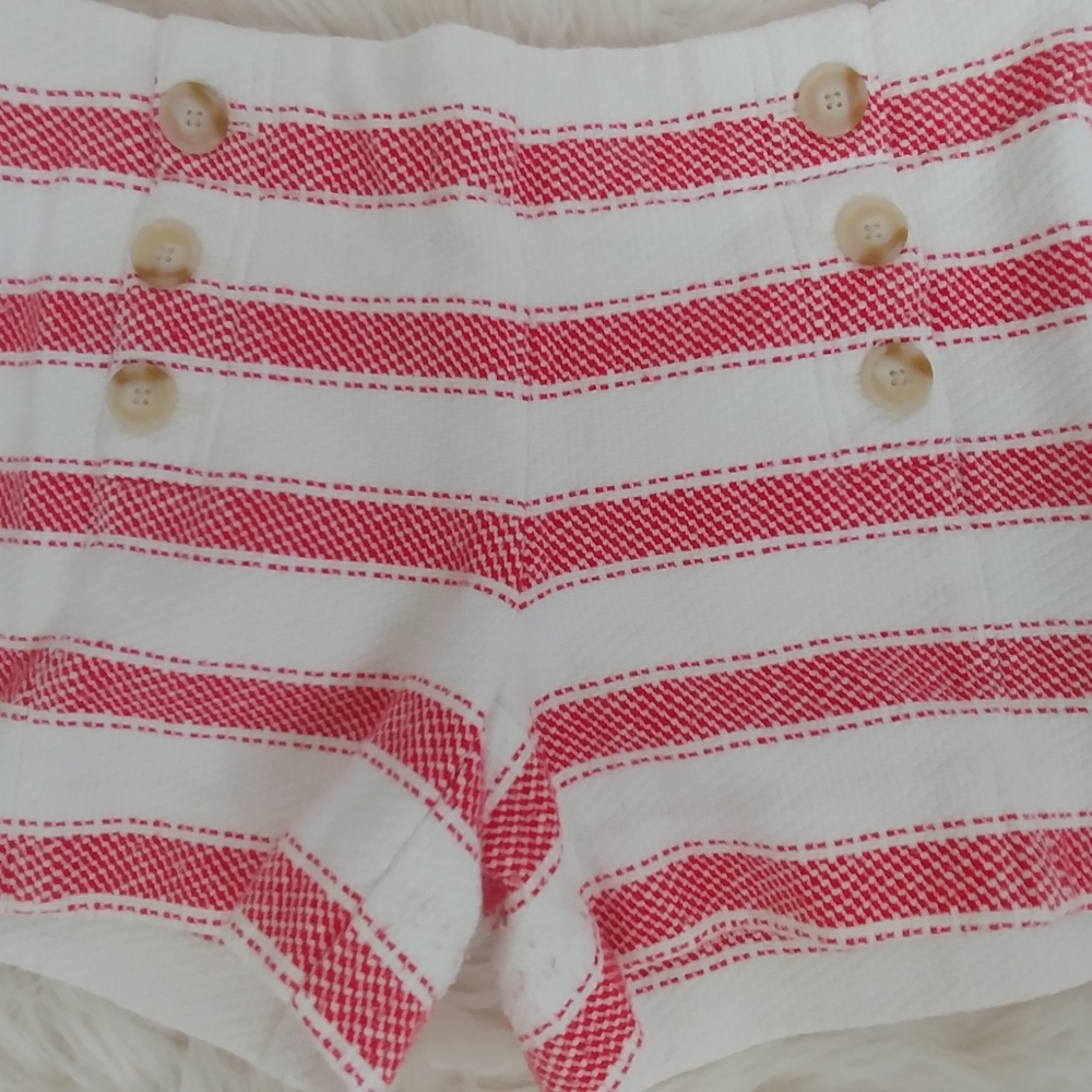 Ann Taylor Loft Riviera Shorts LOFT